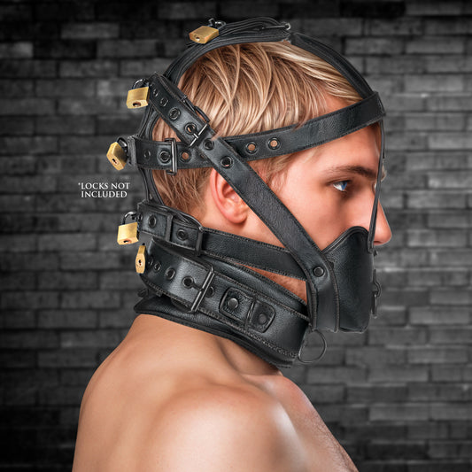 Lockable Head Harness with Muzzle