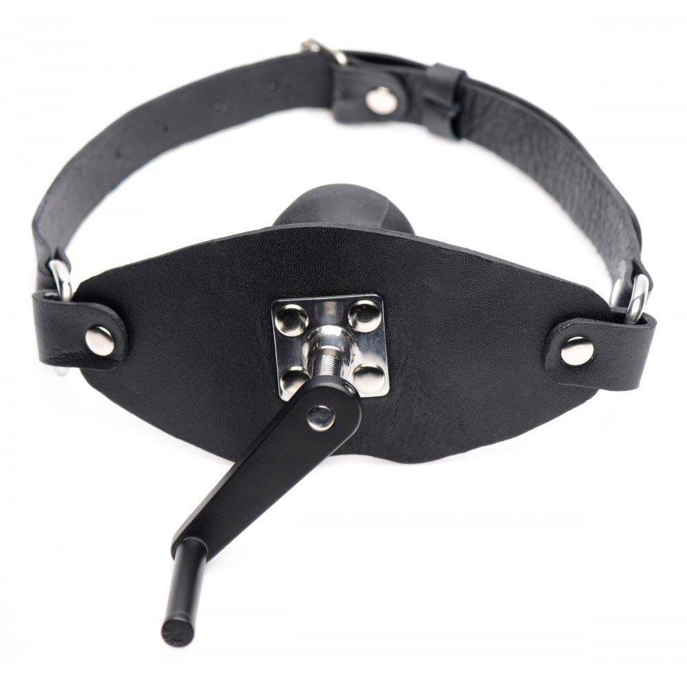 Crank Ball Gag